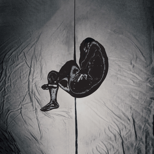 杨钰莹双乳被吸浑身颤抖
