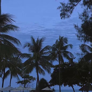 杨钰莹双乳被吸浑身颤抖
